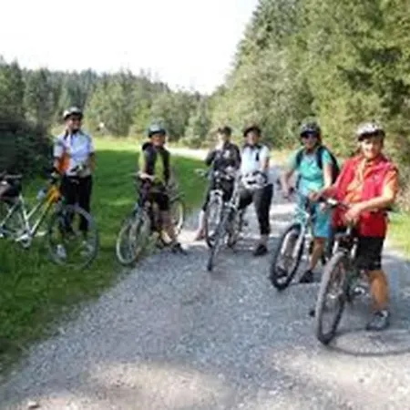 Vendégház Gasthaus-pension Zum Loewen