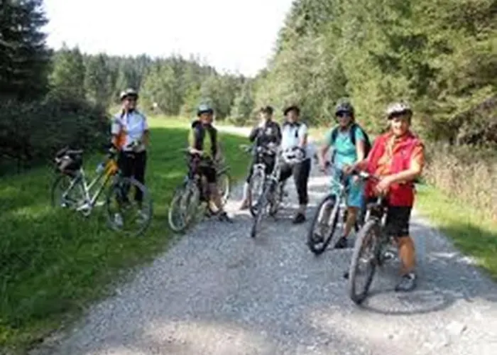 Penzion Gasthaus-pension Zum Loewen