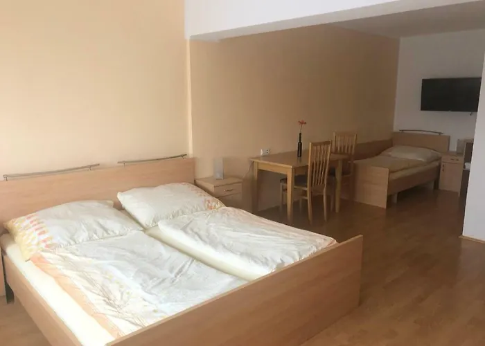 Gasthaus-pension Zum Loewen Πανσιόν Asten (Linz)